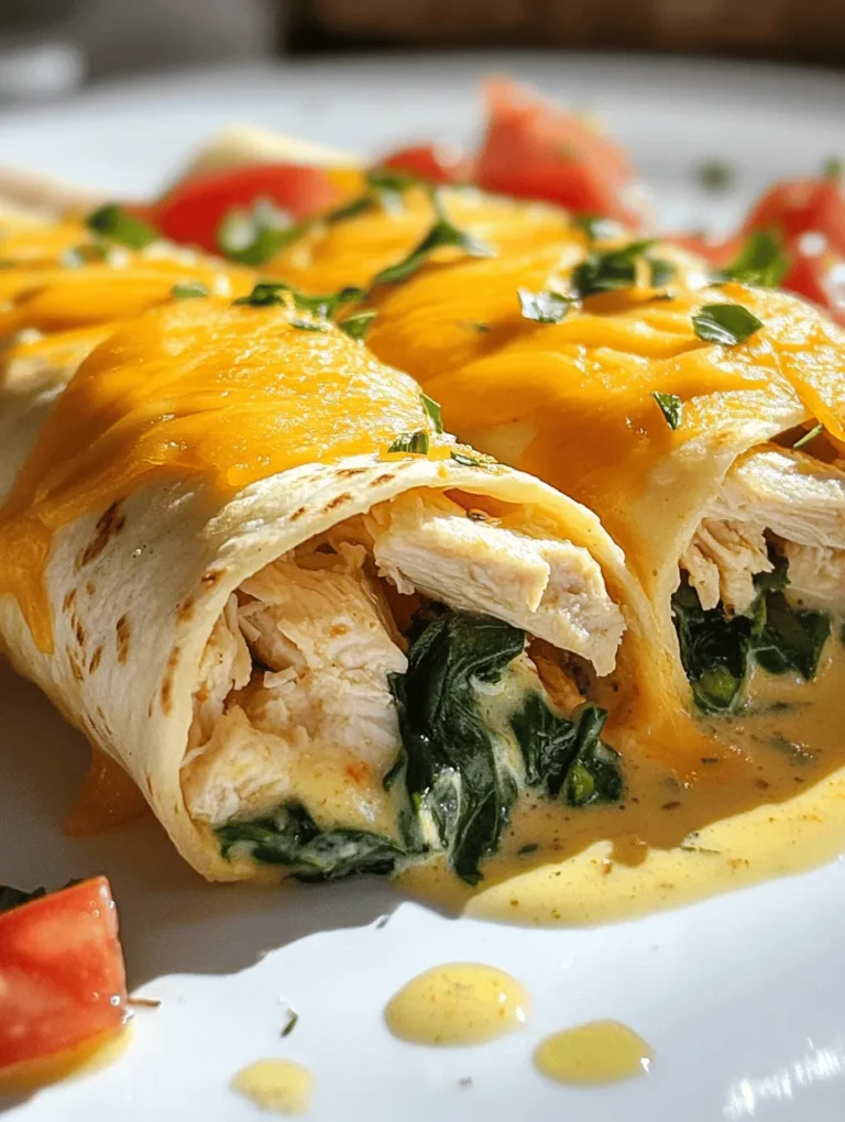 Wraps have surged in popularity in modern cuisine, and it’s easy to see why. Their versatility caters to a broad spectrum of dietary preferences, making them an appealing choice for everyone from health-conscious eaters to those seeking indulgent flavors.